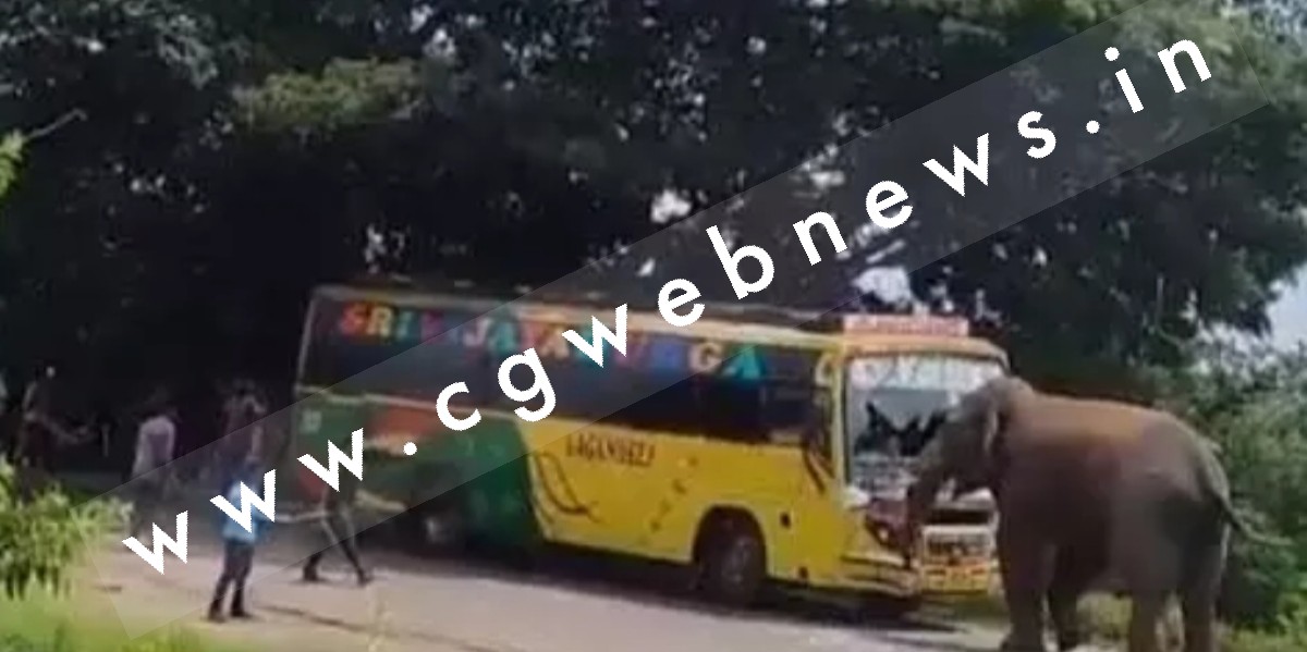 हायवे पर हाथी का आतंक , यात्रियों से भरी बस पर किया हमला , ऐसे बची लोगो की जान