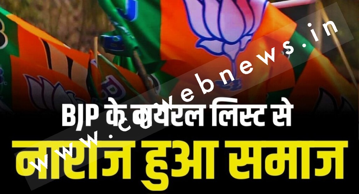 छत्तीसगढ़ - प्रत्याशियों की वायरल लिस्ट बनी भाजपा के गले की फांस , झेलनी पड़ रही है इस समाज की नाराजगी