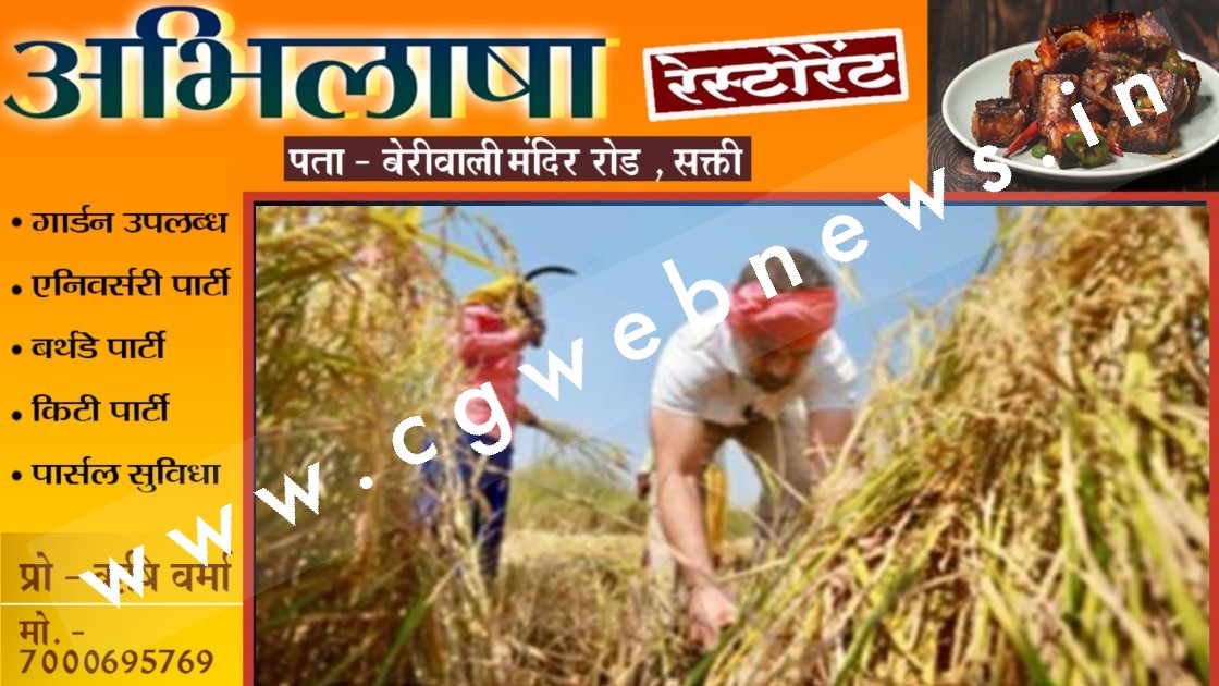 छत्तीसगढ़ - राहुल गांधी अचानक पँहुच गए खेतो में और किसानों के साथ करने लगे धान की कटाई