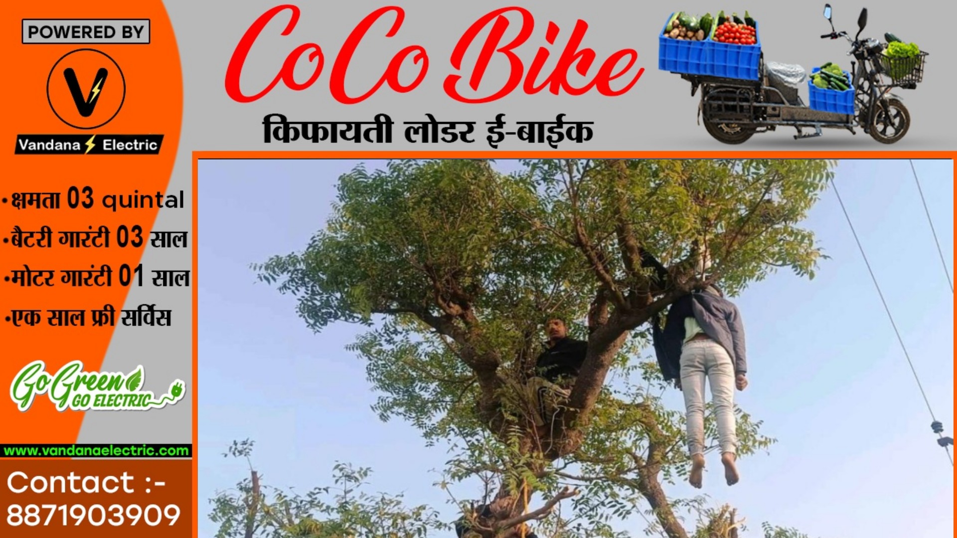 20 वर्षीय युवती की पेंड़ पर लटकती लाश मिलने से मची सनसनी , पुलिस जाँच में जुटी