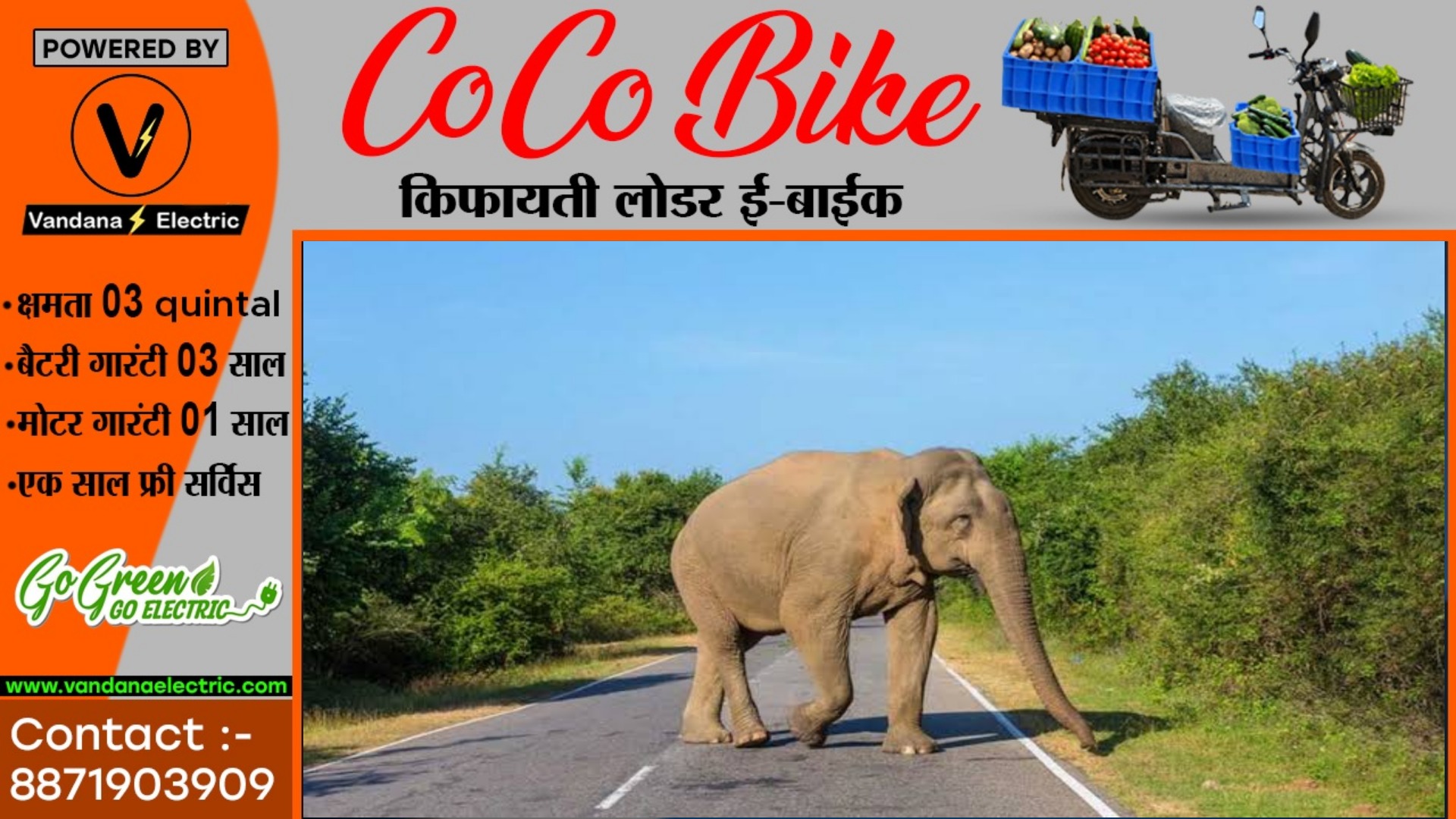 छत्तीसगढ़ - धान खरीदी केंद्र में घुसा जंगली हाथी , लोगो मे मची अफरातफरी