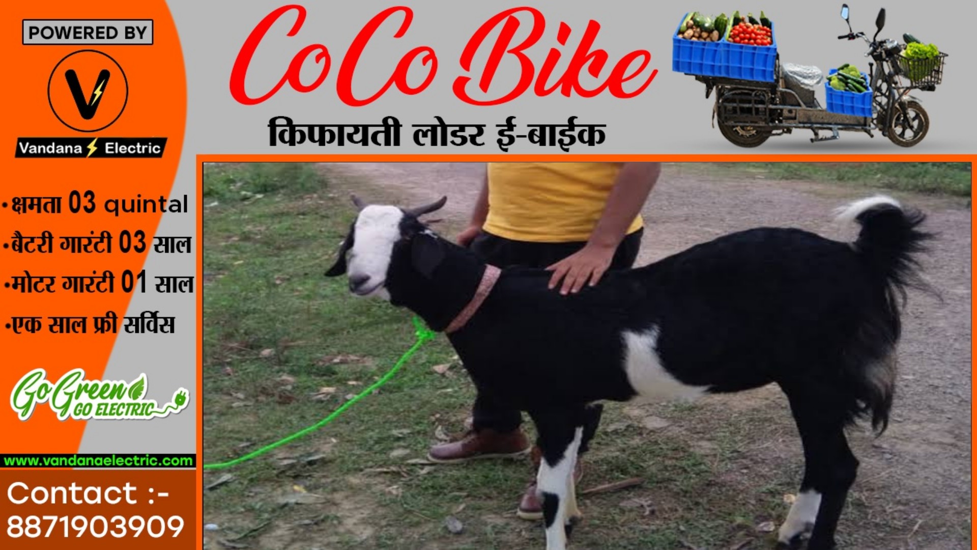 छत्तीसगढ़ - भाजपा नेता के प्यारे बकरे की बन गई बिरियानी , चोरों ने बकरे को काट कर मटन दुकान में बेचा