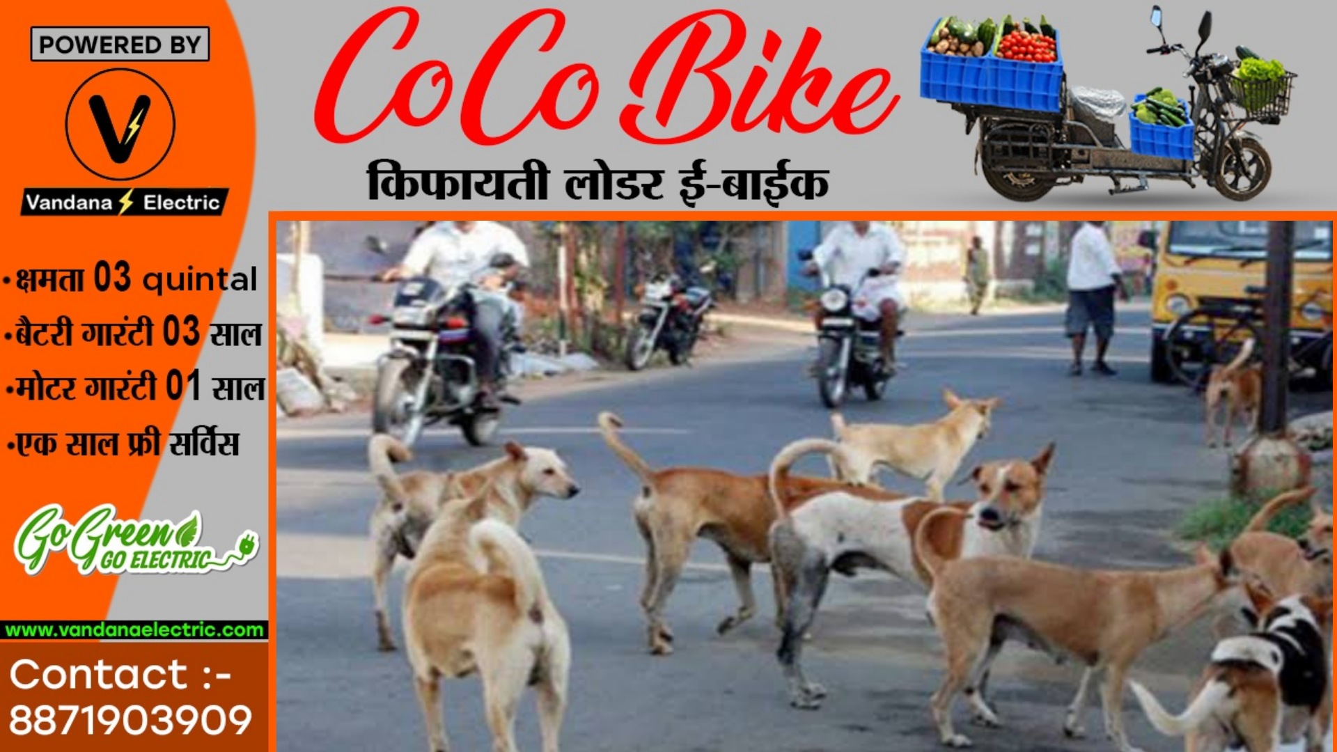 छत्तीसगढ़ - सरपंच ने कराया 26 कुत्तों का एनकाउंटर , ग्रामीणों ने की कलेक्टर से शिकायत