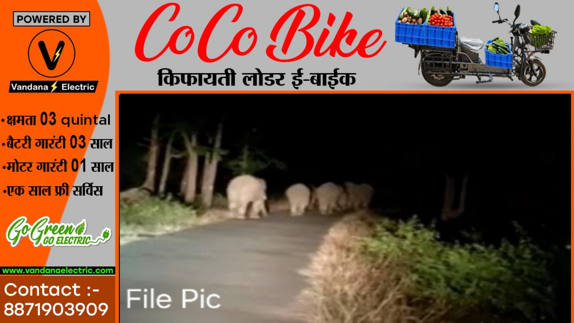 सक्ती जिले के नजदीक पँहुचा 82 हाथियों का दल , इस जिले में डाला हुआ है डेरा , वन विभाग अलर्ट मोड पर