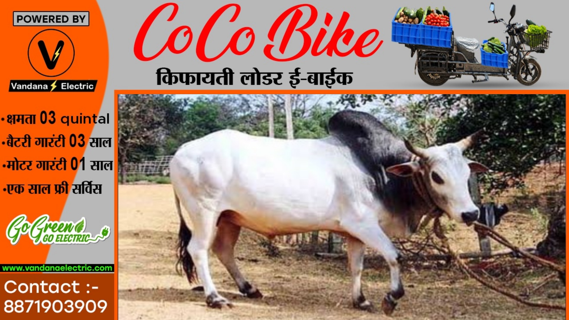 भाजपा नेता पर सांड ने किया हमला , गंभीर हालत में किया गया हॉस्पिटल में भर्ती