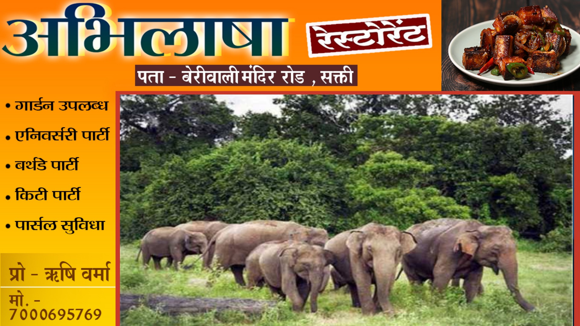 छत्तीसगढ़ - रिहायशी इलाके में पँहुचा 24 हाथियों का दल , वन विभाग ने जारी किया अलर्ट