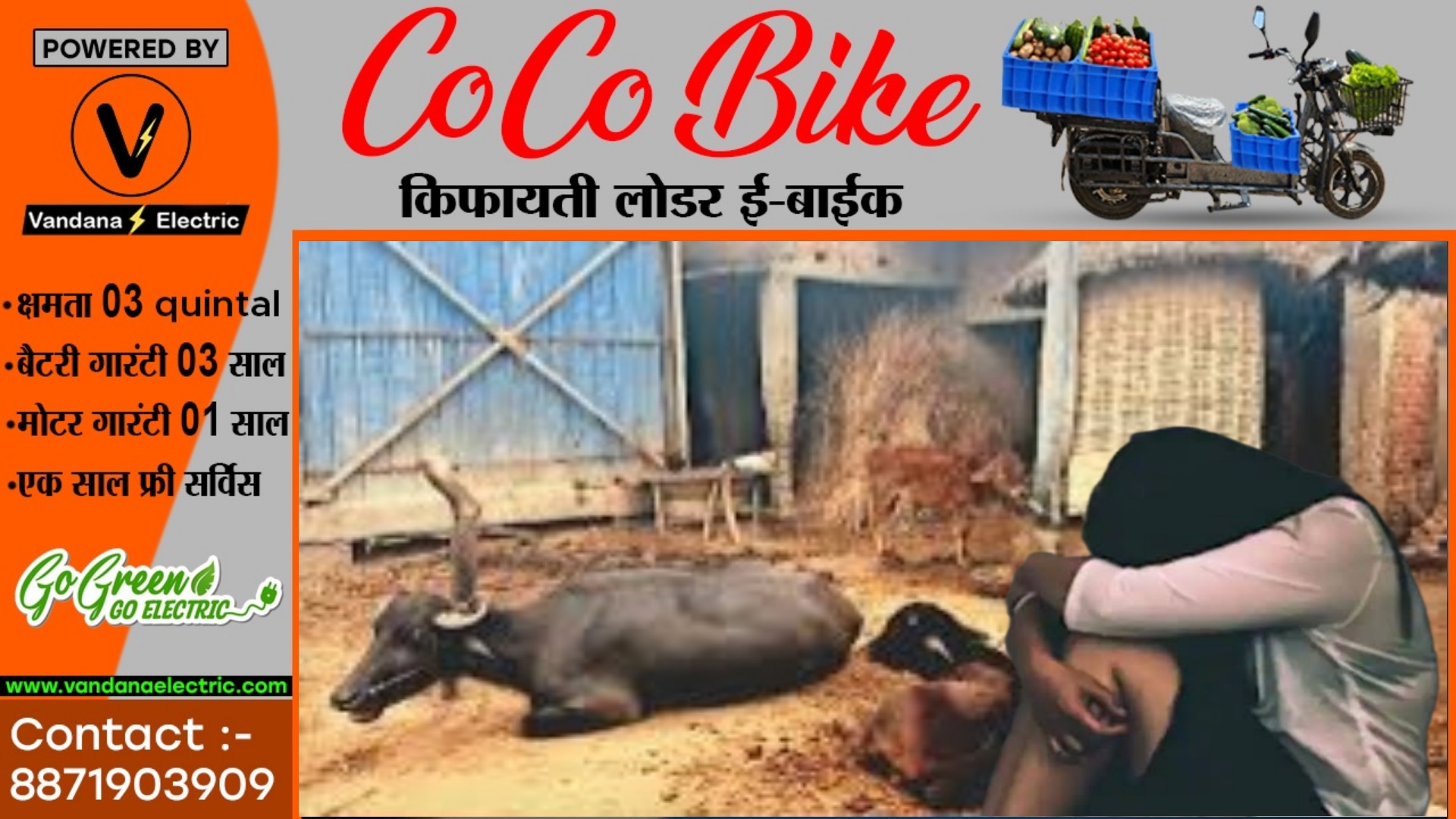 भैस के तबेले में दो युवकों ने युवती के साथ कर दिया बड़ा कांड , गाँव मे तनाव का माहौल