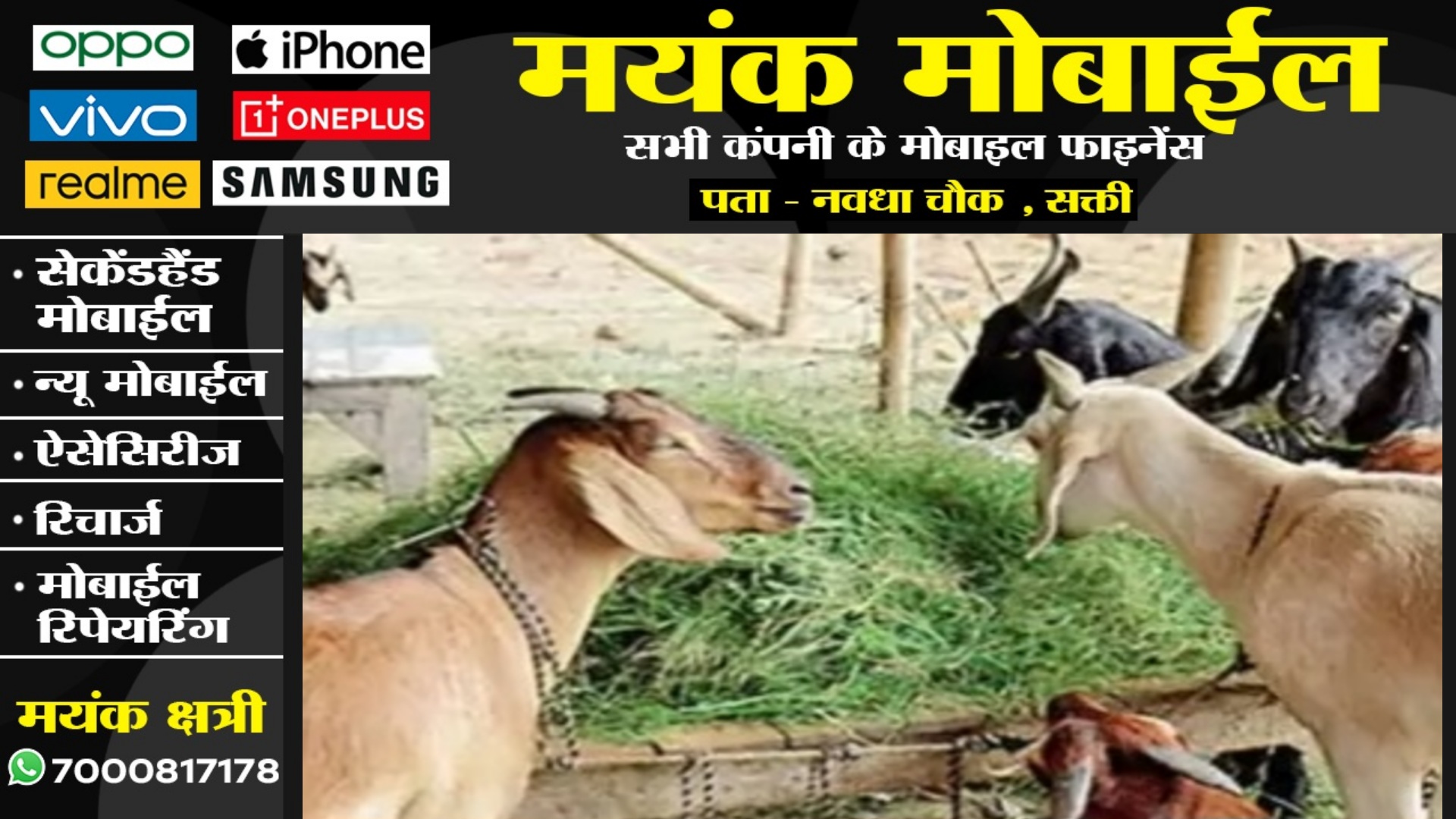 छत्तीसगढ़ - सरपंच के घर से रहस्यमयी तरीके से गायब हुई 75 बकरियां , पुलिस जाँच में जुटी