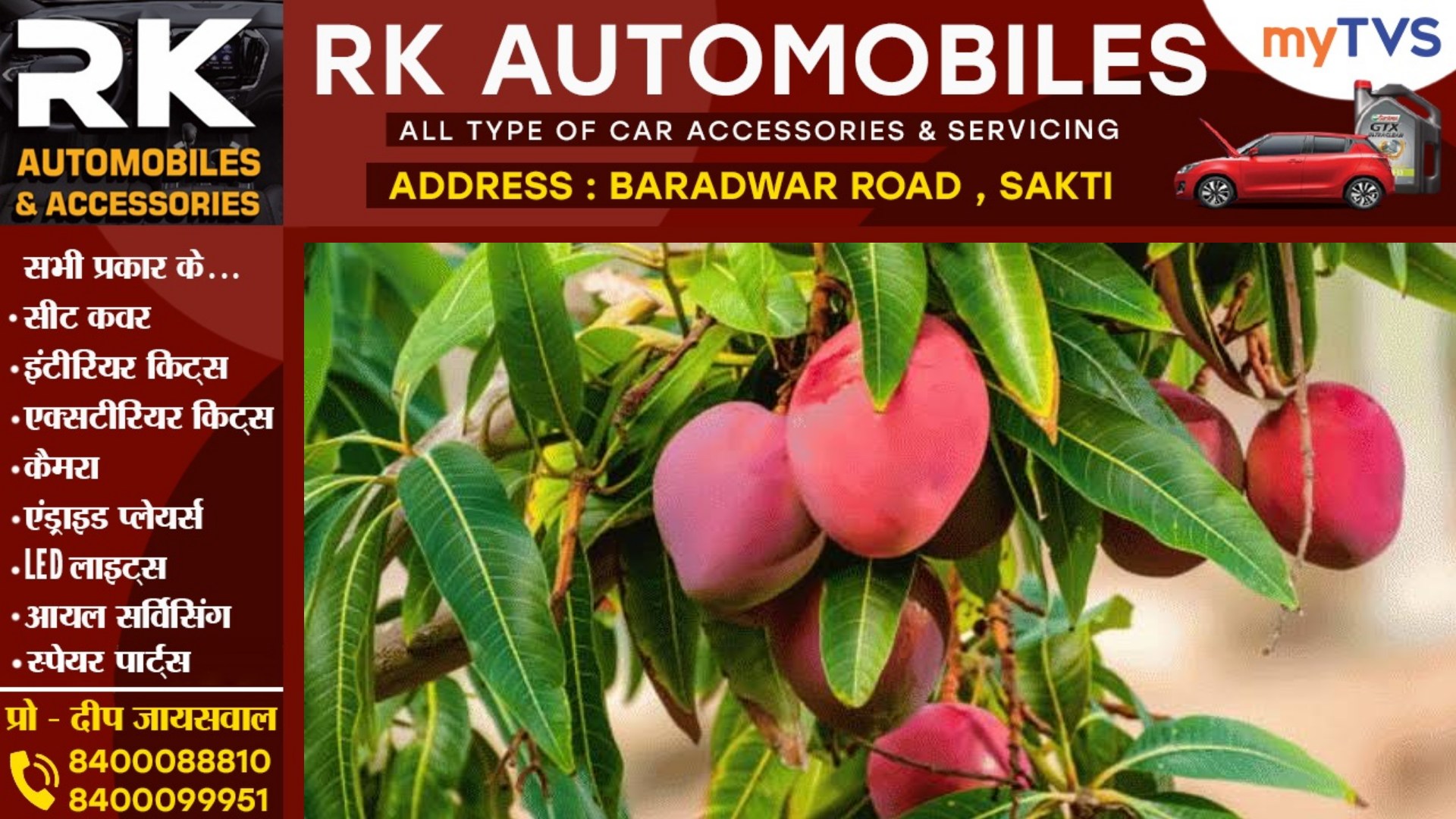 छत्तीसगढ़ में पहुंचा दुनिया का सबसे महंगा आम , एक किलो आम की कीमत में मिल जाएगा चार तोला सोना