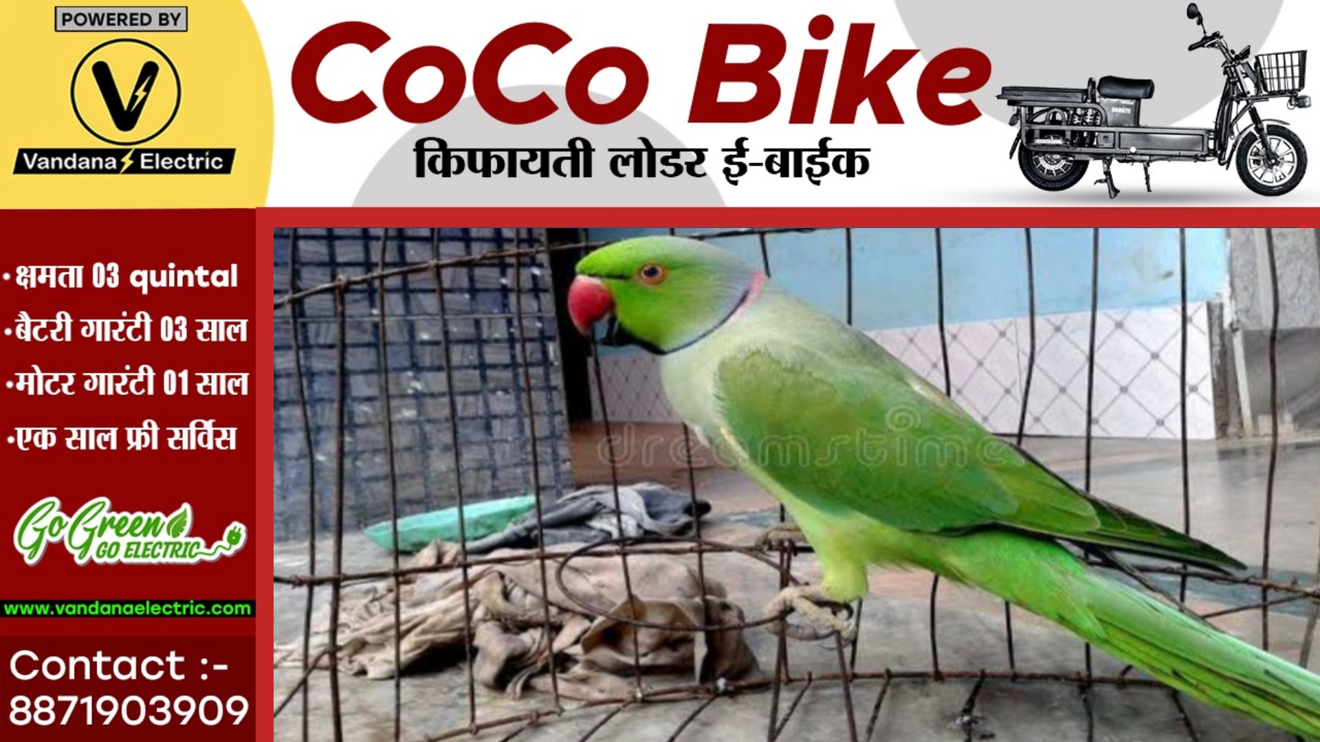 छत्तीसगढ़ - अगर घर मे तोता पाले है तो सावधान हो जाइए , जाना पड़ सकता है जेल