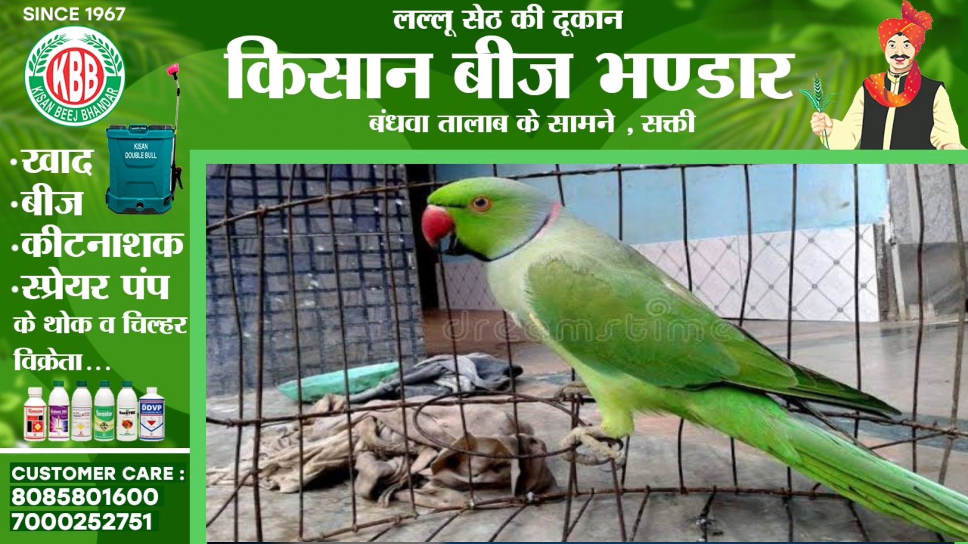 छत्तीसगढ़ - तोता पालने वालो के लिए खुशखबरी , विभाग ने वापस लिया आदेश , अब नही होगी जेल