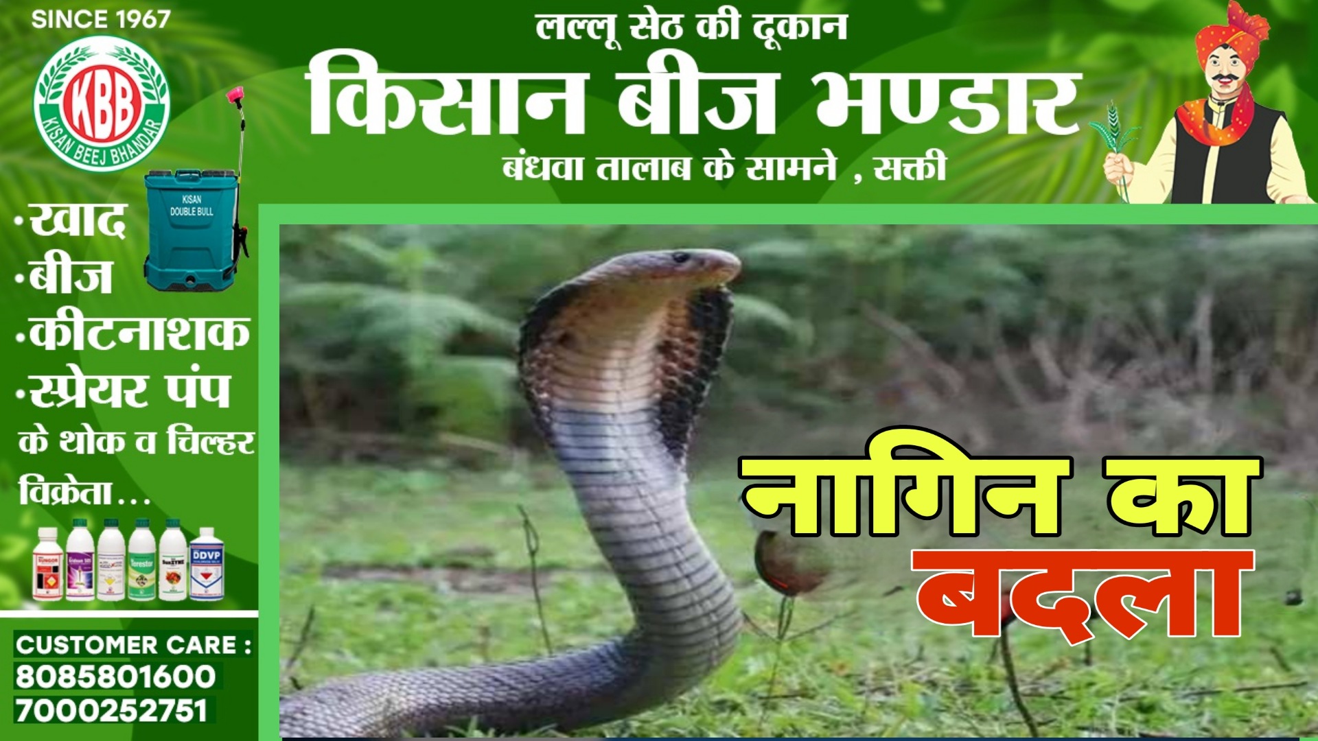 नागिन ले रही है बदला , 05 लोगों को डसा 03 की मौत , 02 कि हालत नाजुक , दहशत में लोग